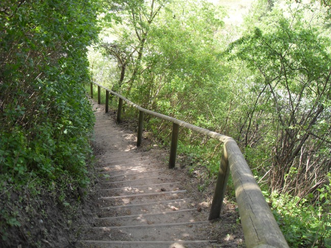 Åsen, Næstved, maj 2012