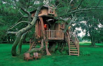 coolest Tree Houses