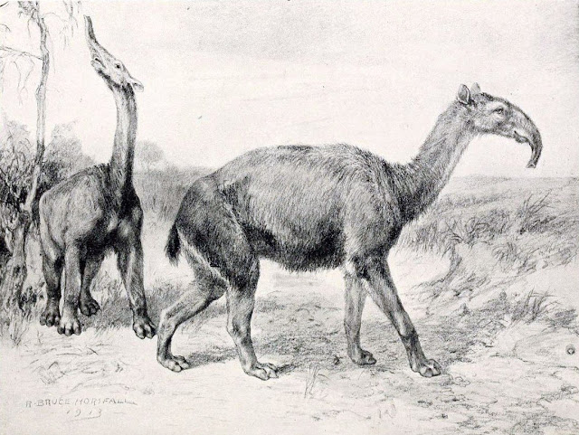 Mammals cannot evolve fast enough to escape current extinction crisis