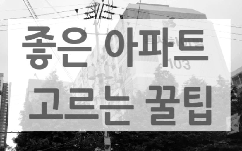 좋은 아파트 고르는 꿀팁