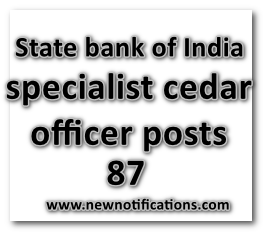 SBI_specialist cedar officer posts