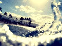 All i want to do...