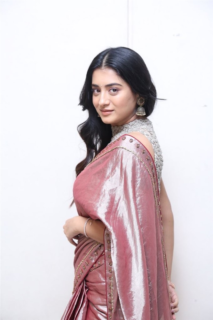 Actress Raashi Singh Latest Photoshoot From Bhoothaddam Bhaskar Narayana Movie Shiva Trap Trance Lyrical Song Launch. 