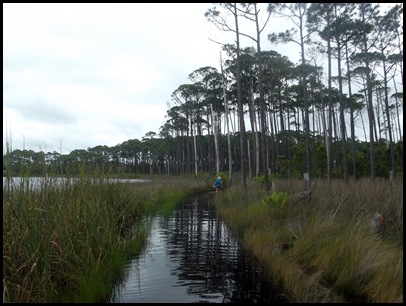 Dune hike & rain paddle 061