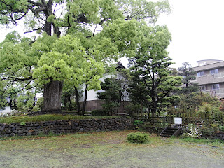 彦三緑地（石川県金沢市）