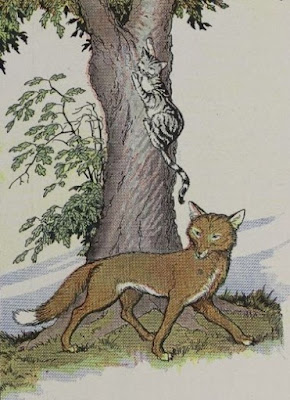 The Cat and the Fox