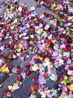 Leaves in red, gold, brown, and green spread over the bricks.