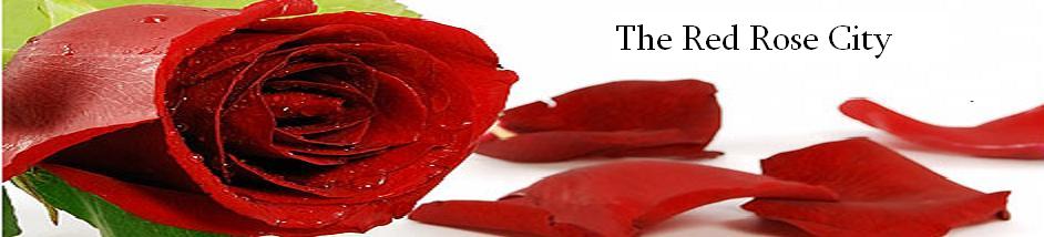 Red Rose City