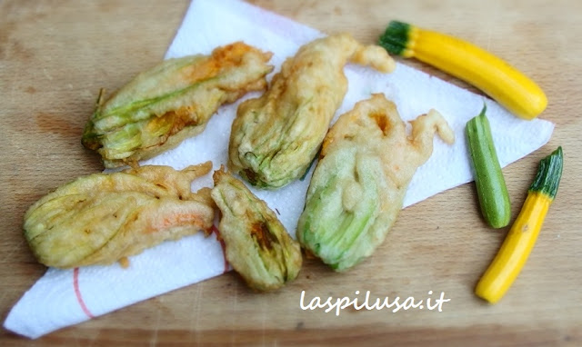 Ricetta fiori di zucchina fritti e frittelle di zucchina