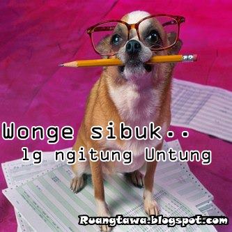  Gambar  Dp BBM Meme Hewan  Lucu  dalam Bahasa  Jawa  Ruang 