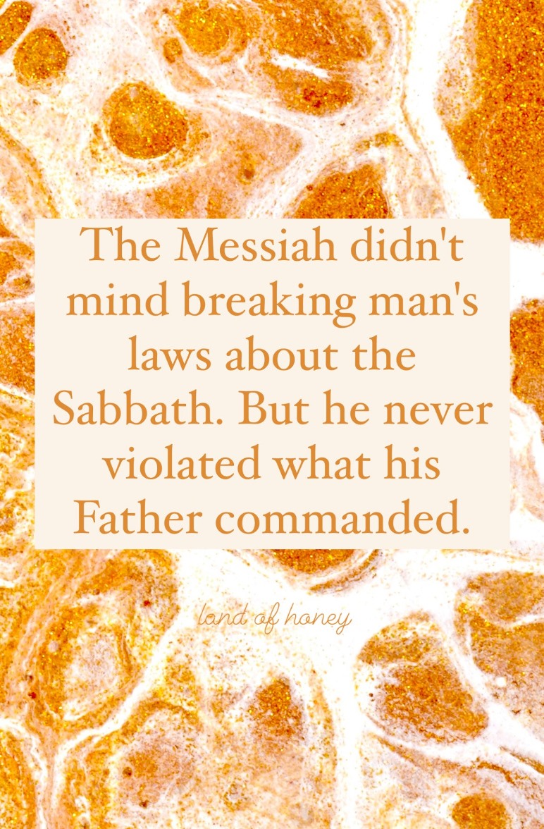 The Messiah didn't mind breaking man's laws about the Sabbath, but he never violated his Father's commands about it. | Land of Honey