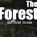 Up-and-Coming Survival Tips in the Forest? Bloggers You Need to Watch