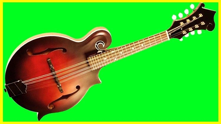 Beginner Mandolin Course MANDOLIN MASTERY FROM THE BEGINNING Udemy Coupon
