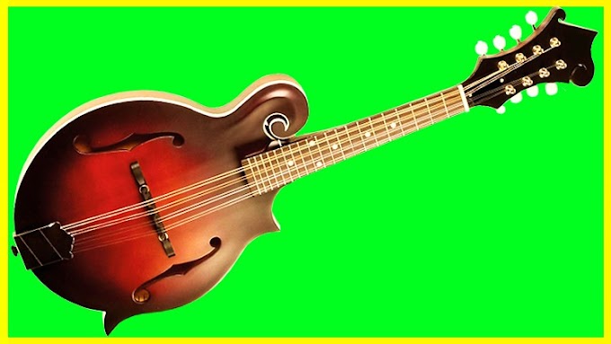 Beginner Mandolin Course MANDOLIN MASTERY FROM THE BEGINNING