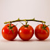 Growing Tomatoes:From Planting to Harvest