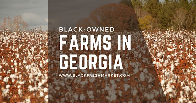 Black Owned Farms In Georgia