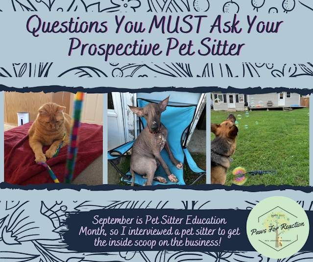 MUST ASK QUESTONS for your prospective pet sitter for September Pet Sitter Education Month