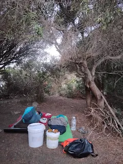 Our sleeping place under trees