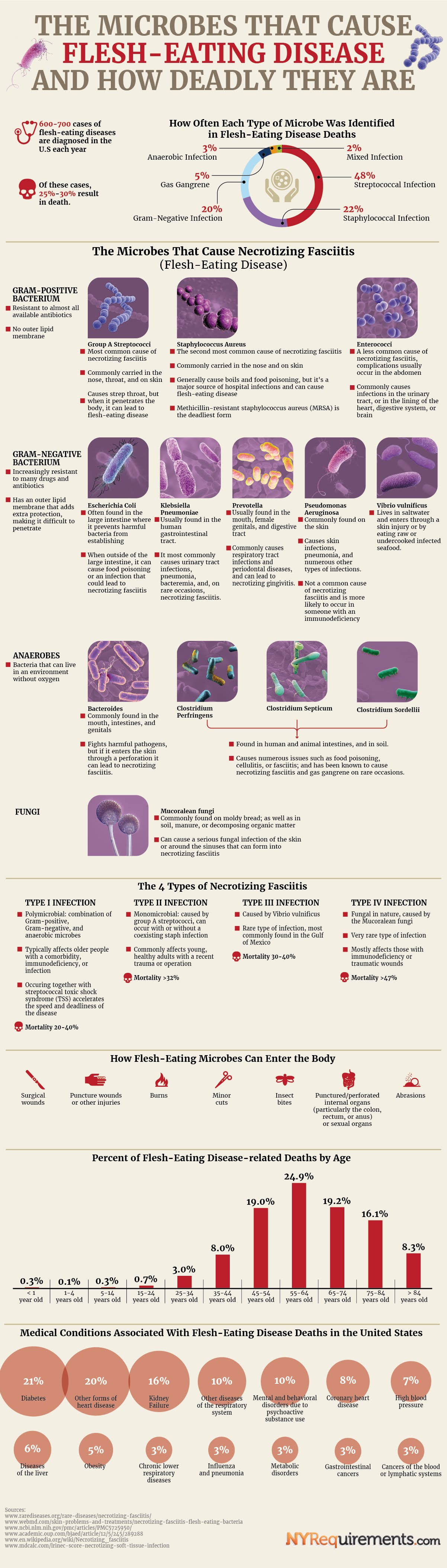 The Microbes That Cause Flesh-Eating Disease and How Deadly They Are #Infographic