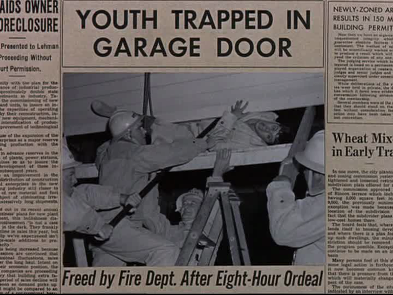 fake garage door ideas That Darn Cat Movie | 768 x 576