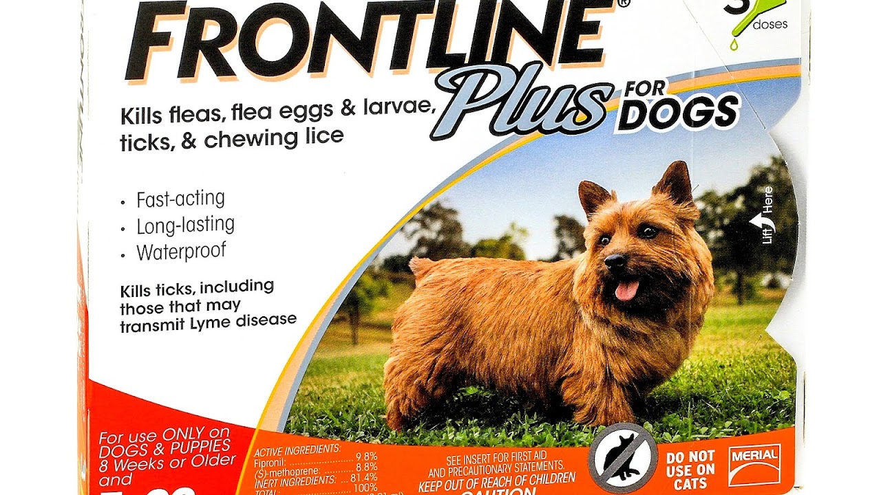 Frontline Flea Treatment For Dogs