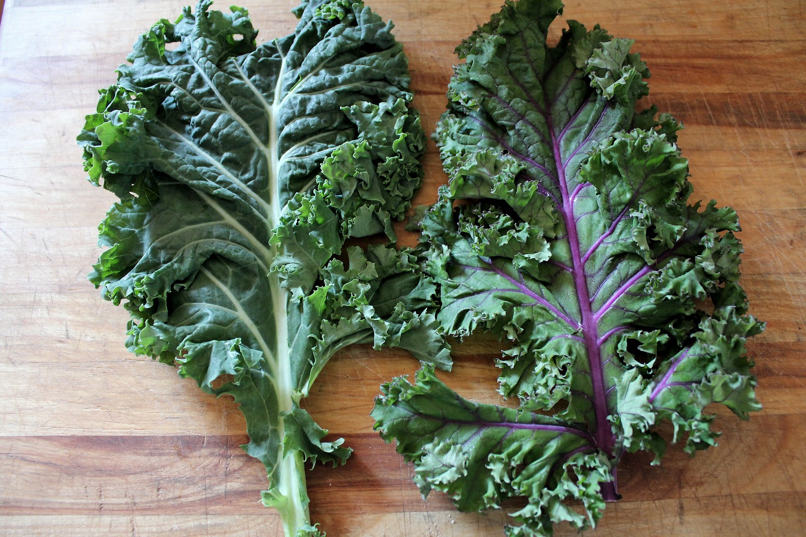 Types Of Kale