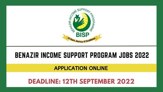 Benazir Income Support Program BISP Jobs
