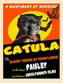 Caturday Art: Catula poster