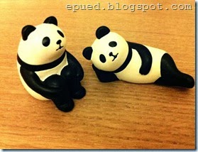 photo (14)