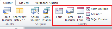 Access Form Tasarımı