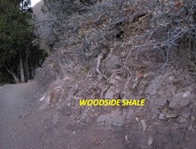 Woodside