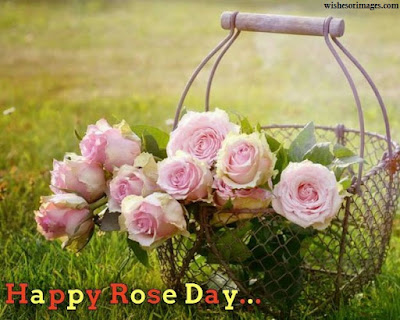 Wallpapers of Rose Day