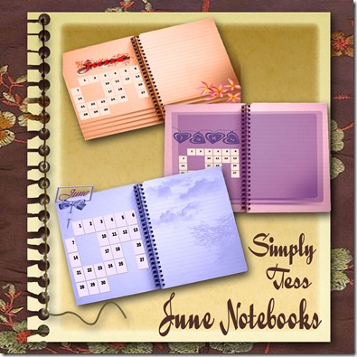 SimplyTess June Notebooks Preview