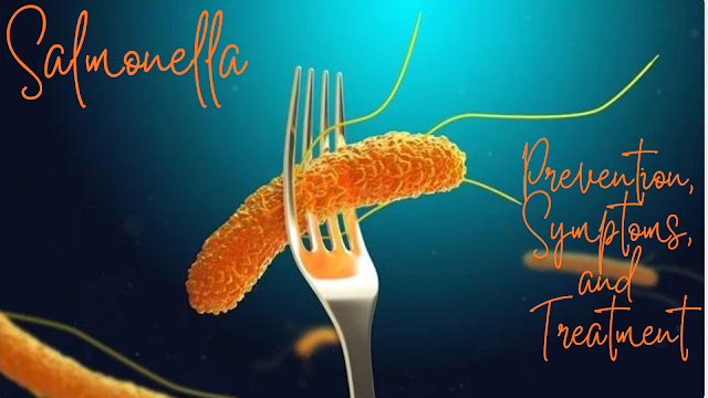 Salmonella: Prevention, Symptoms, and Treatment