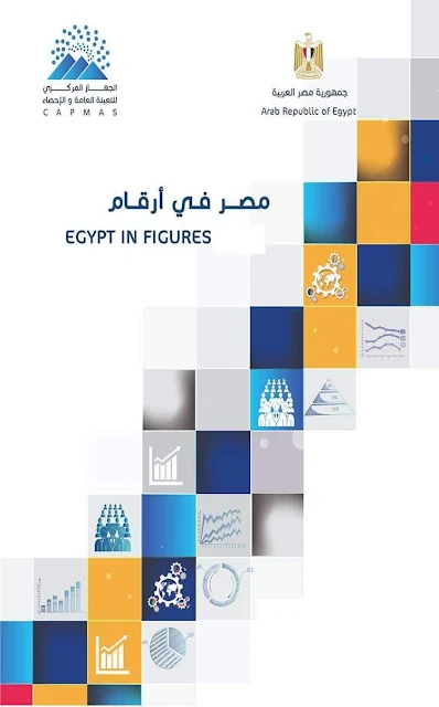 كتاب مصر في أرقام 2024 - Egypt in Figures