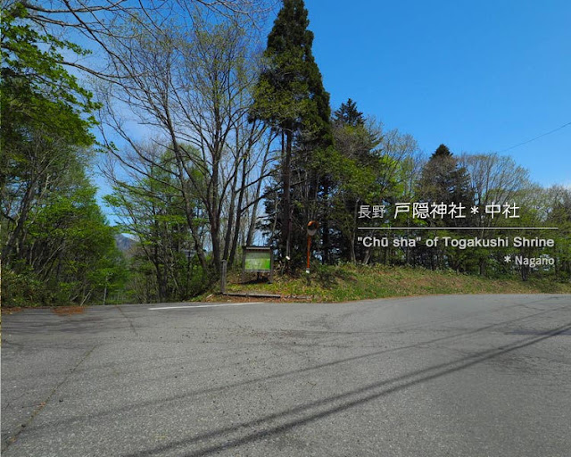 戸隠神社：中社