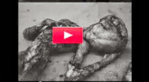 Kgb Ufo Crash Et Skull And Russian Alien