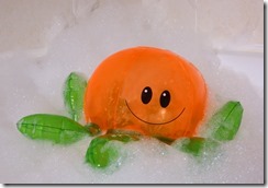 octopus 1st shot (9987)