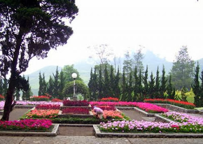 Tempat Wisata di Puncak 