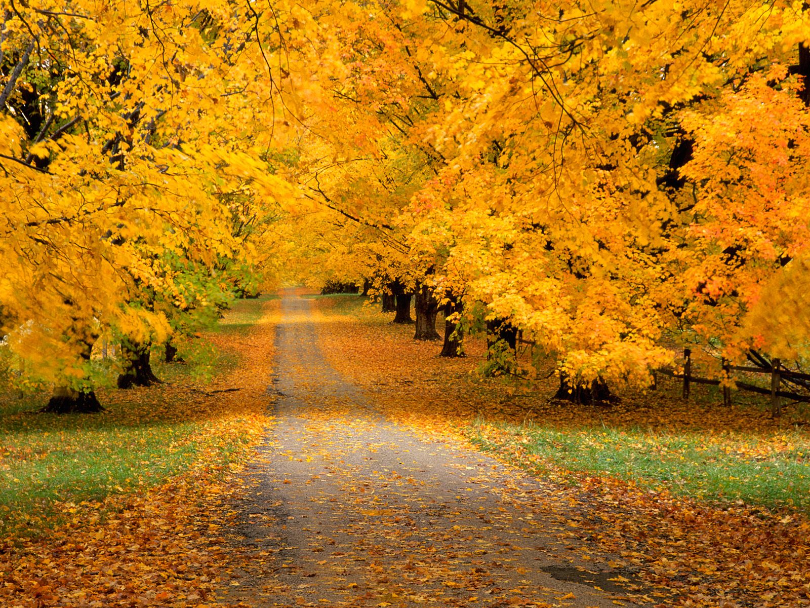 ... desktop autumn wallpaper hd widescreen desktop autumn wallpaper hd