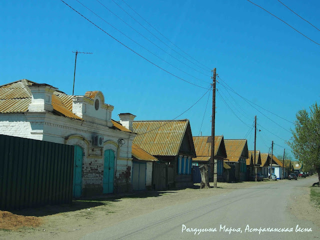 Селитренное фото