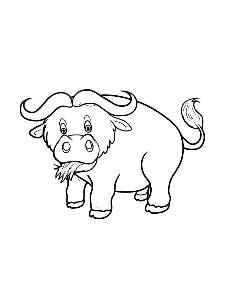 animals coloring page