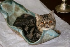 IMG_5558