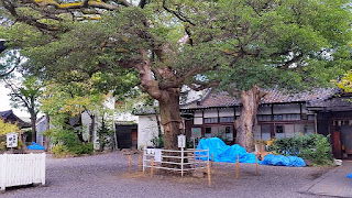 人文研究見聞録：生根神社（奥の天神） ［大阪府］