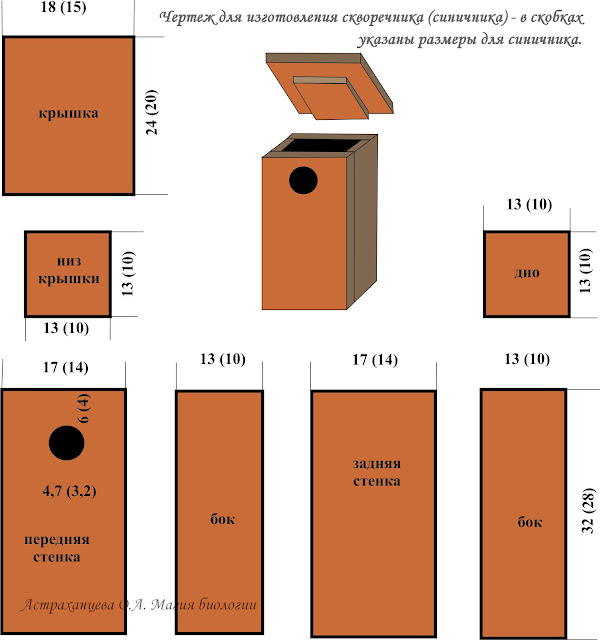 схема-скворечника-и-синичника