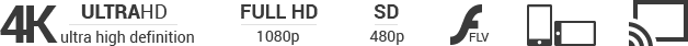 Les Rois du désert
