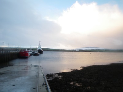 IMGP0513