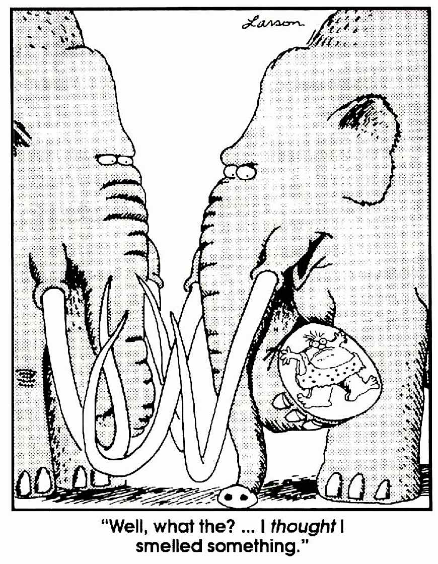 a Gary Larson cartoon about elephants