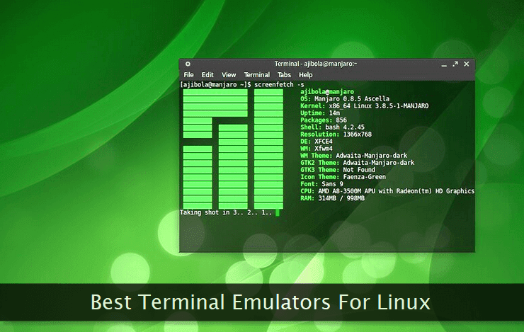 A terminal emulator on a Linux desktop