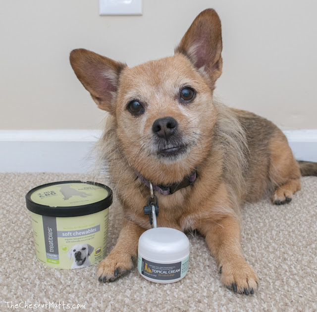 Treatibles CBD products for pets